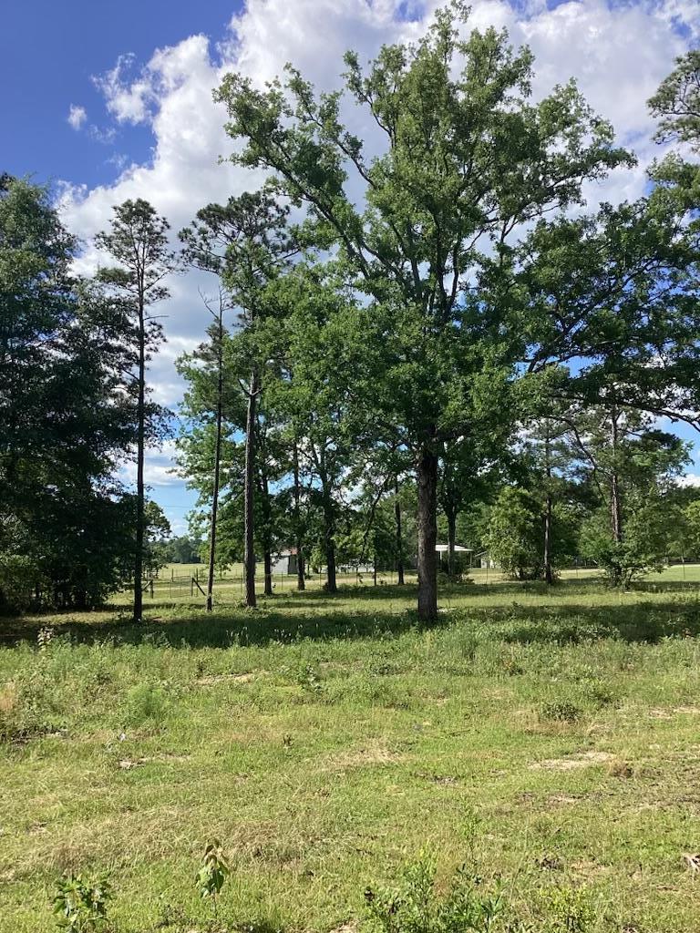 291 Young Road Box Springs, GA 31801 - Photo 1 of 22 a view of a park with large trees