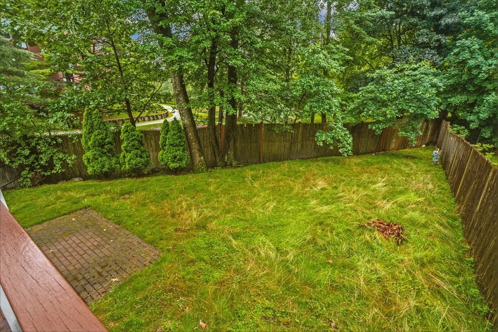 50 Tanglewood Road Newton, MA 02459 - Photo 37 of 42 a view of a yard with plants and large trees