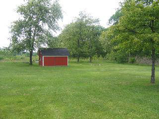 9595 Plank Road Maybee, MI 48159 - Photo 5 of 16 Shed