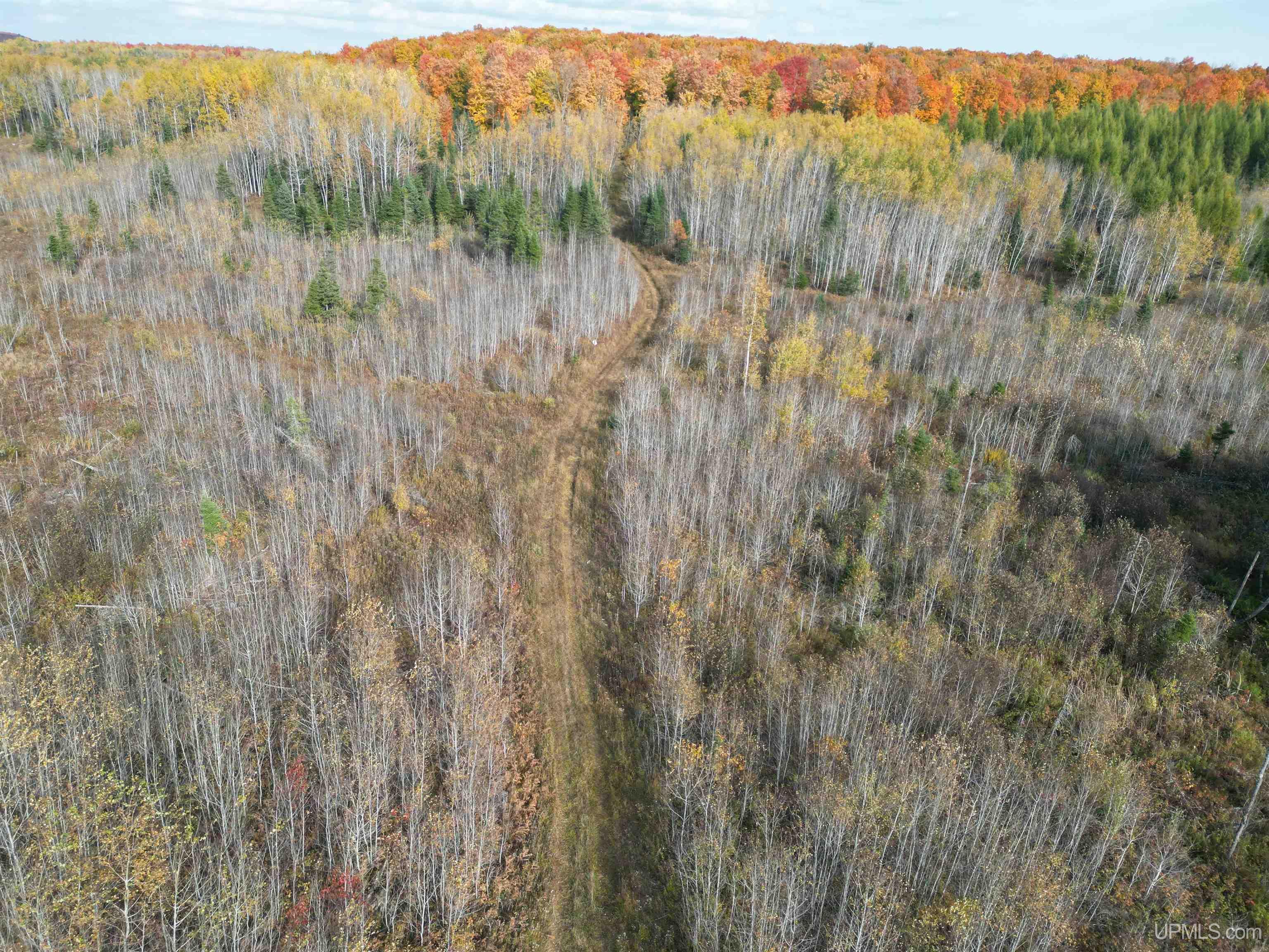 80 Rd Vulcan Mi 49892 Road Vulcan, MI 49892 - Photo 49 of 49 Gallery Image 49