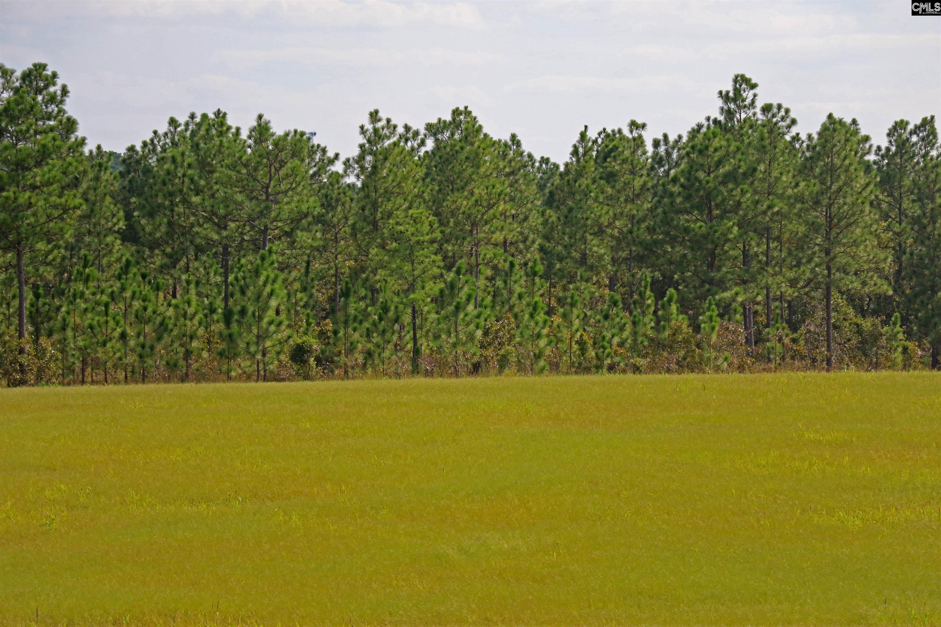 Tbd Browns Pond Road Wagener, SC 29164 - Photo 48 of 48