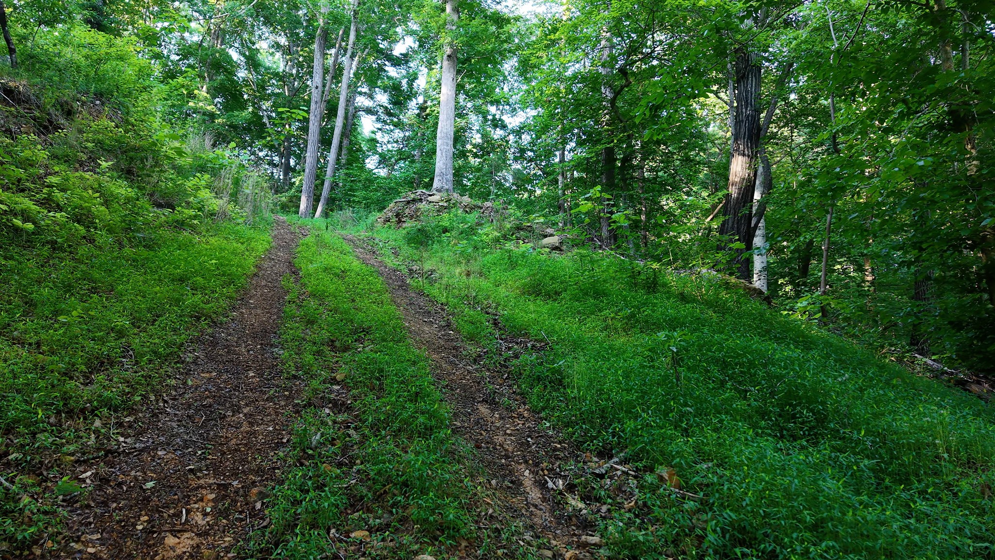 0 Gimlet Creek Road Lawrenceburg, TN 38464 - Photo 9 of 22
