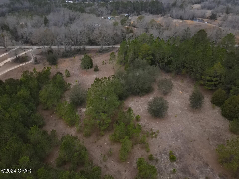 1479 Will Lee Road Bonifay, FL 32425 - Photo 9 of 23 Gallery Image 9
