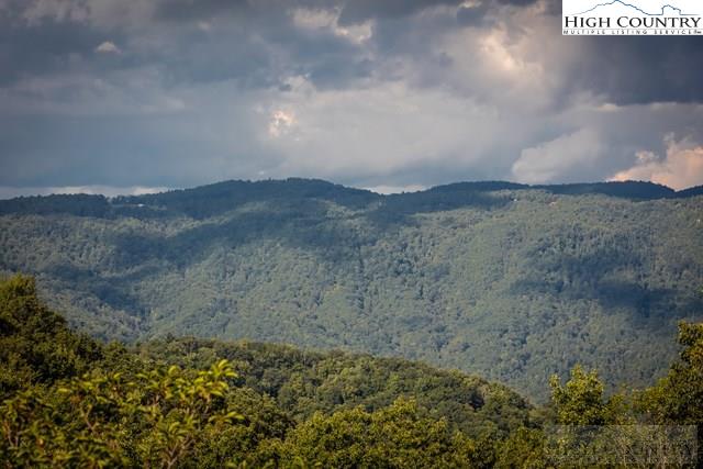 2473 Little Laurel Road Boone, NC 28607 - Photo 27 of 33 Gallery Image 27