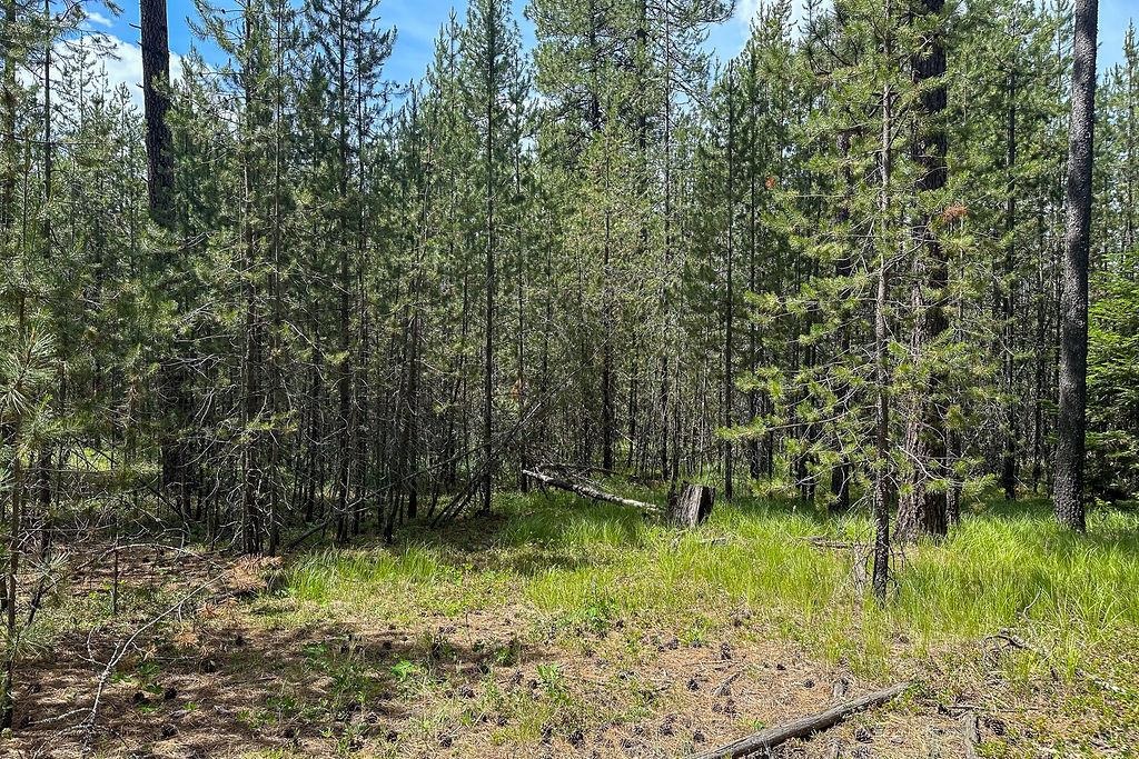 3792 East Jump Off Road Loon Lake, WA 99148 - Photo 1 of 14