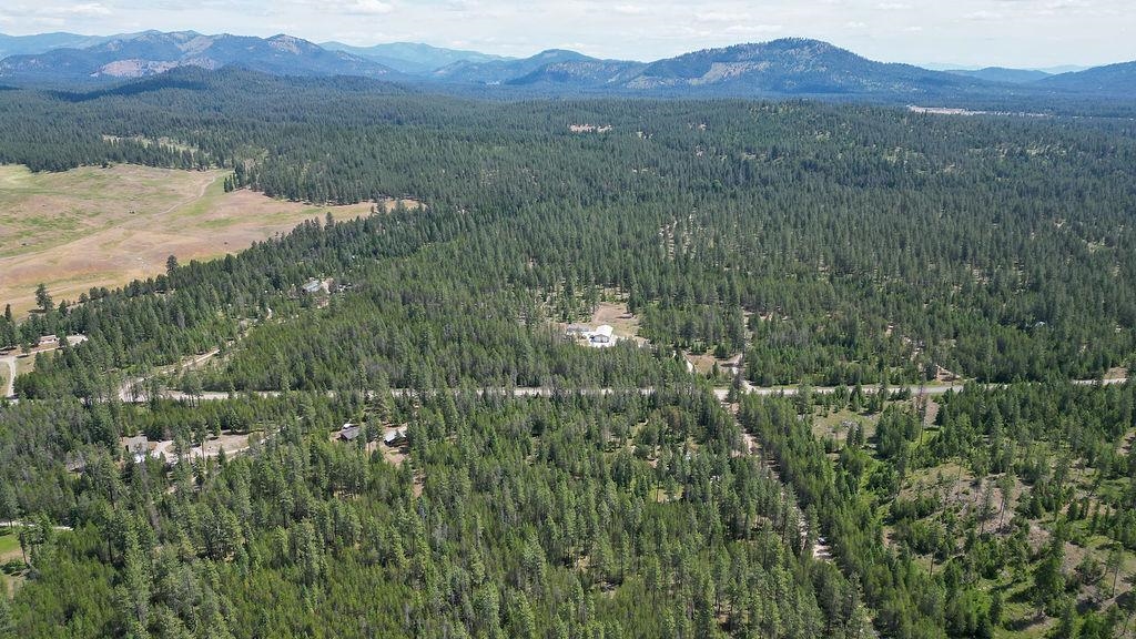 3792 East Jump Off Road Loon Lake, WA 99148 - Photo 11 of 14