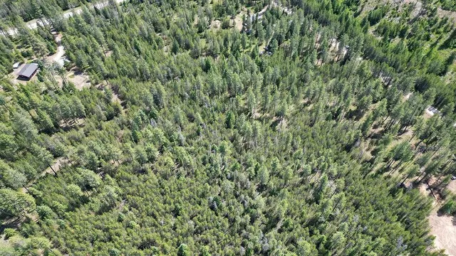 $95,000 | 3792 East Jump Off Road, Loon Lake, WA 99148