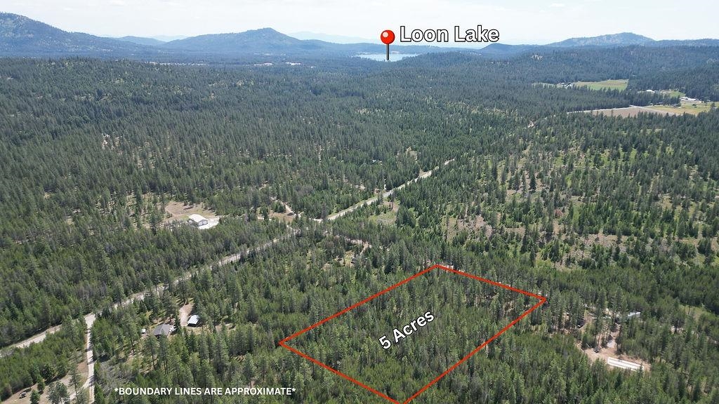 3792 East Jump Off Road Loon Lake, WA 99148 - Photo 3 of 14