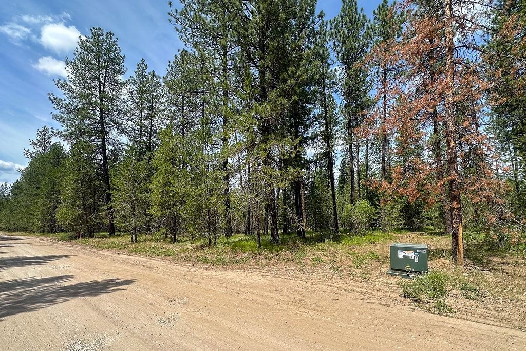 3792 East Jump Off Road Loon Lake, WA 99148 - Photo 4 of 14