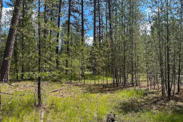 $95,000 | 3792 East Jump Off Road, Loon Lake, WA 99148