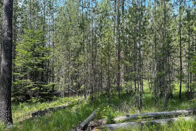$95,000 | 3792 East Jump Off Road, Loon Lake, WA 99148