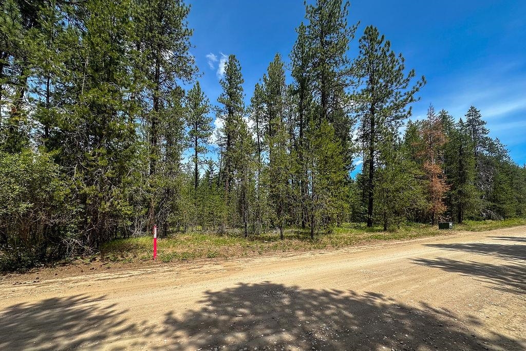 3792 East Jump Off Road Loon Lake, WA 99148 - Photo 7 of 14
