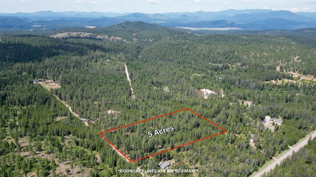 3792 East Jump Off Road Loon Lake, WA 99148 - Photo 10 of 14