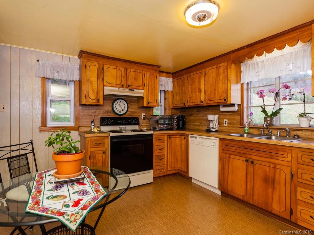 90 Beaverdam Loop Candler, NC 28715 - Photo 3 of 23 Gallery Image 3