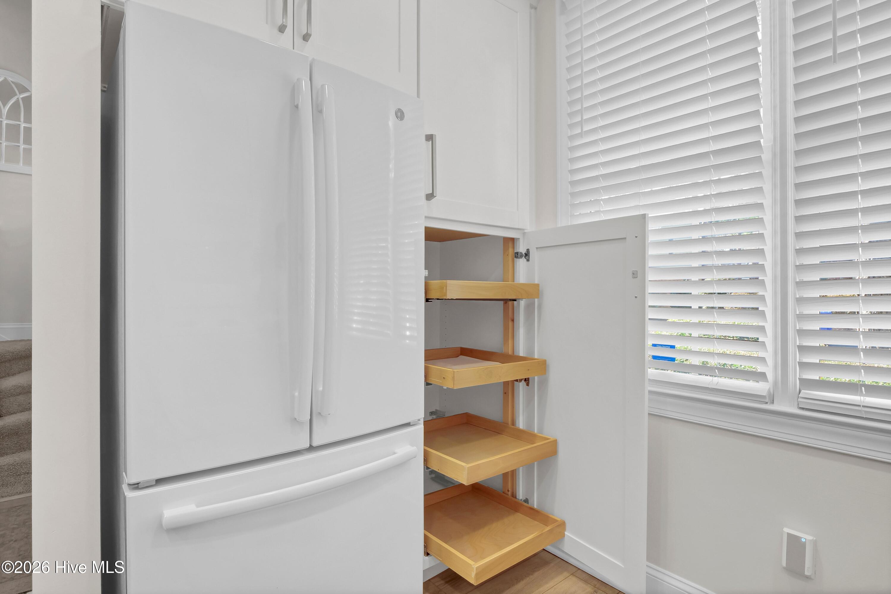 233 Racine Drive, Unit 59 Wilmington, NC 28403 - Photo 9 of 38 Pull out shelving in panty