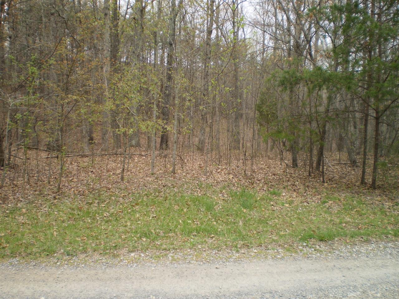 Lot 4 Trough Run Road Moneta, VA 24121 - Photo 1 of 8 Main