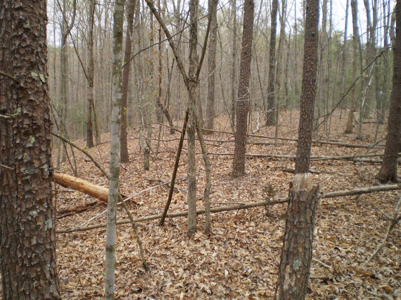 Lot 4 Trough Run Road Moneta, VA 24121 - Photo 2 of 8 Land View
