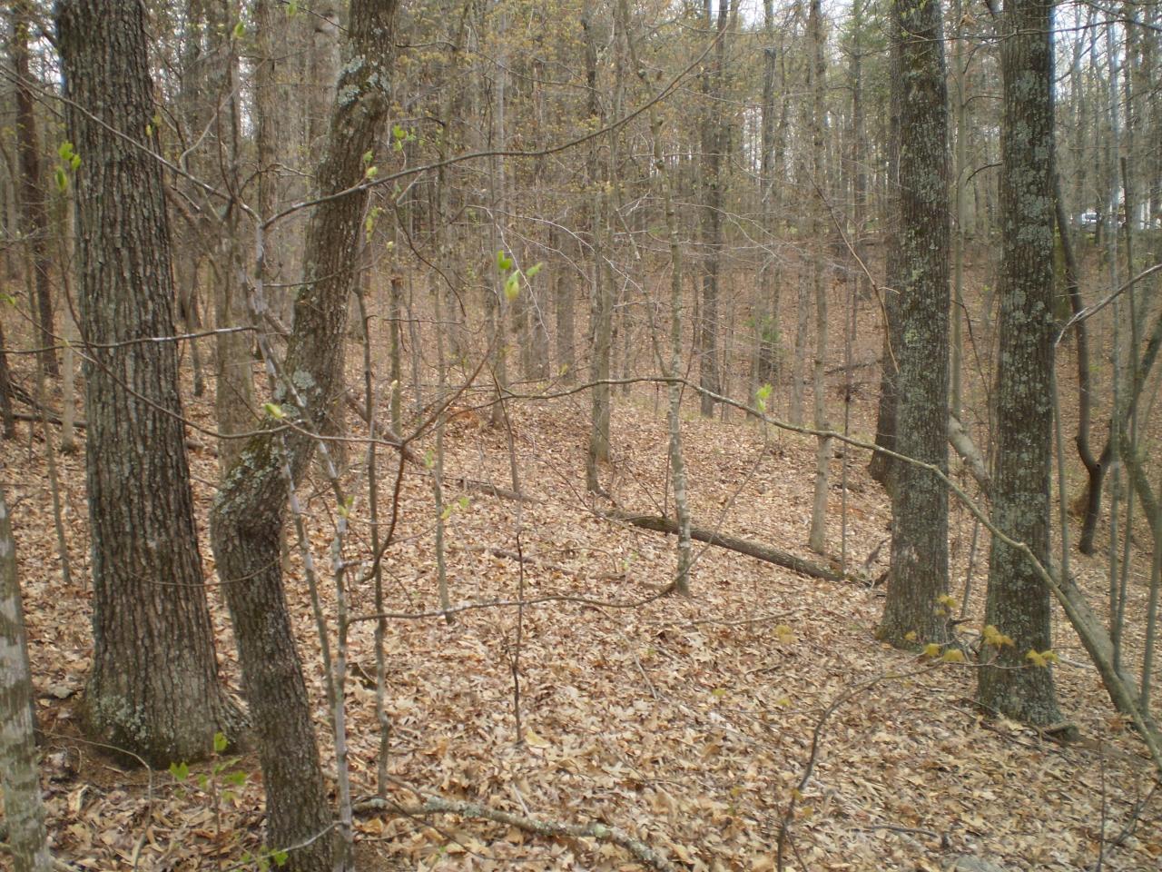 Lot 4 Trough Run Road Moneta, VA 24121 - Photo 3 of 8 Land View 2