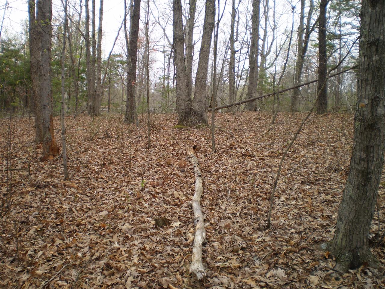 Lot 4 Trough Run Road Moneta, VA 24121 - Photo 6 of 8 Land View 5