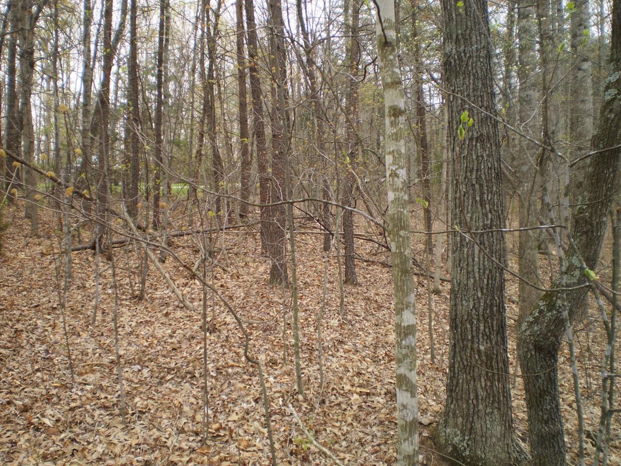 Lot 4 Trough Run Road Moneta, VA 24121 - Photo 7 of 8 Land View 6