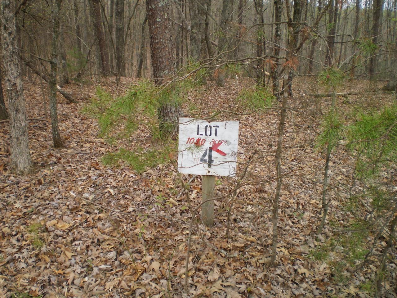 Lot 4 Trough Run Road Moneta, VA 24121 - Photo 8 of 8 Land View 7