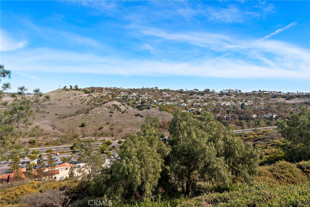 4 Charmony Laguna Niguel, CA 92677 - Photo 10 of 35 View from the Deck off of the Primary Bedroom