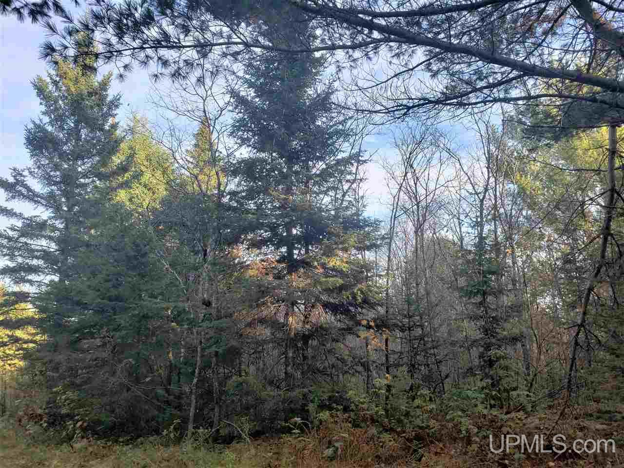 Tbd North River Road Chassell, MI 49916 - Photo 6 of 25 Gallery Image 6