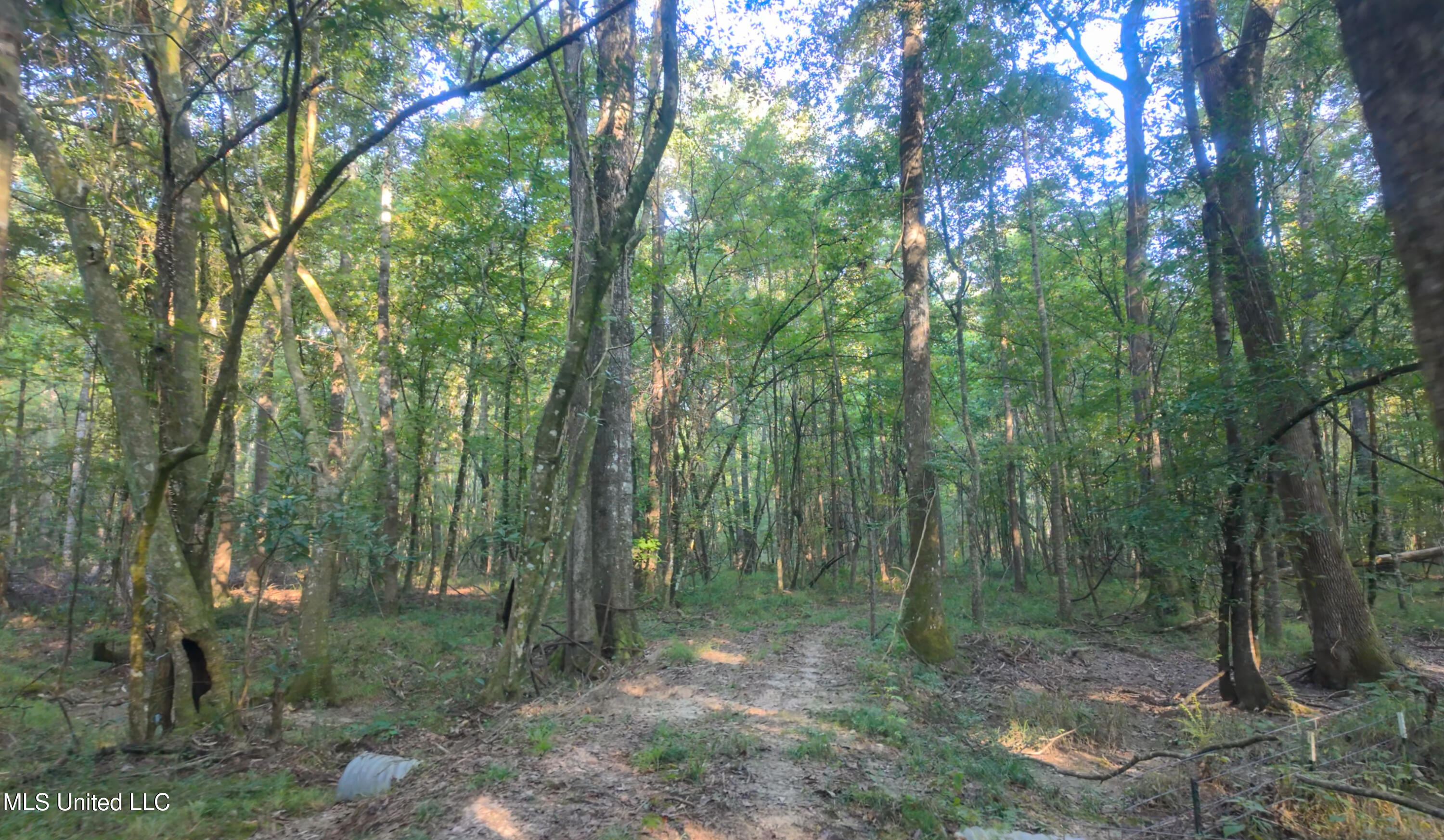 North Greensburg Road Smithdale, MS 39664 - Photo 8 of 10 DJI3