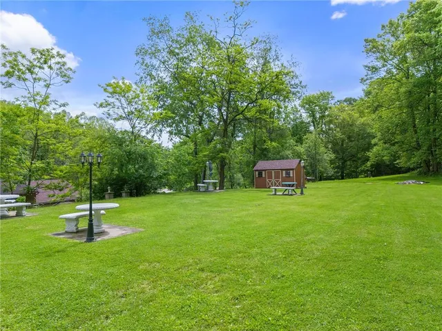 a view of a park with large trees