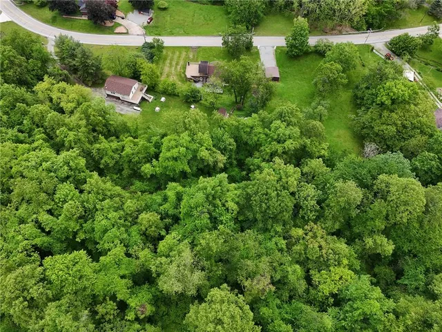 a view of field with tall trees