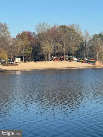 a view of ocean with trees