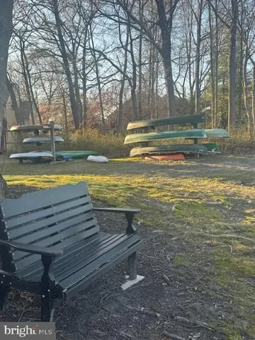 a view of water with large trees