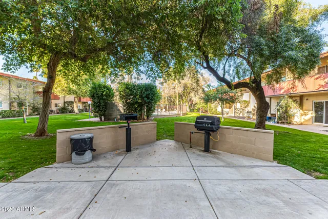 a view of a backyard