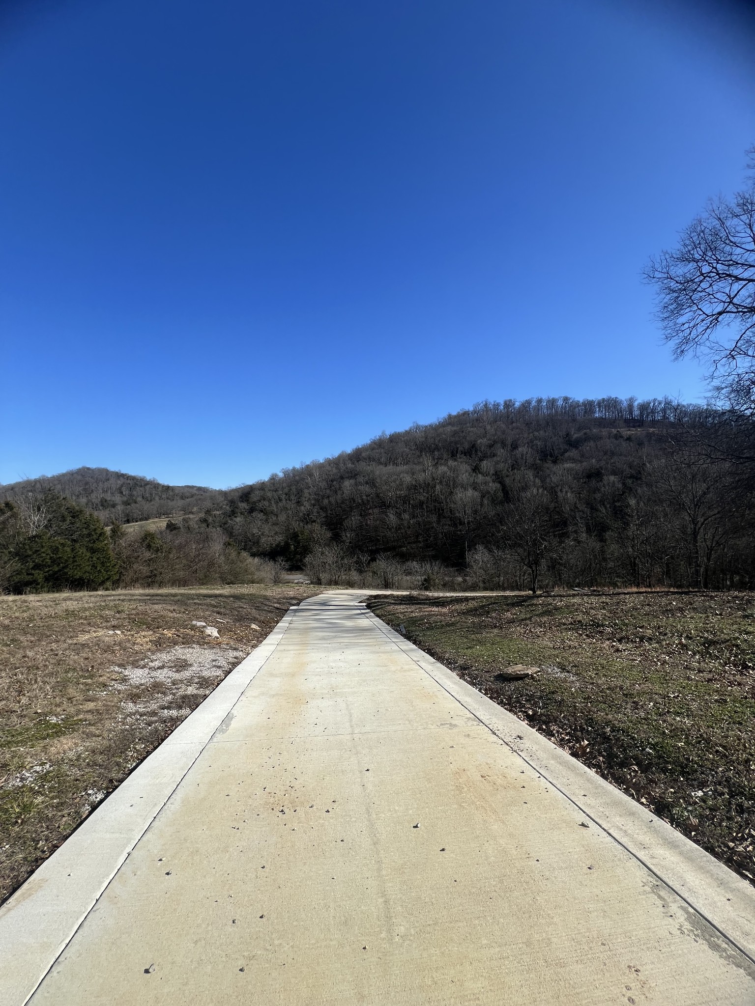 697 Club Springs Road Buffalo Valley, TN 38548 - Photo 28 of 29