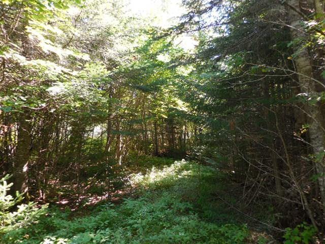 83 Bulldog Road West Forks, ME 04985 - Photo 6 of 11 20180817105405736662000000-o