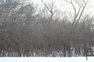 $20,000 | 930 North Fairfield Road, Round Lake Beach, IL 60073