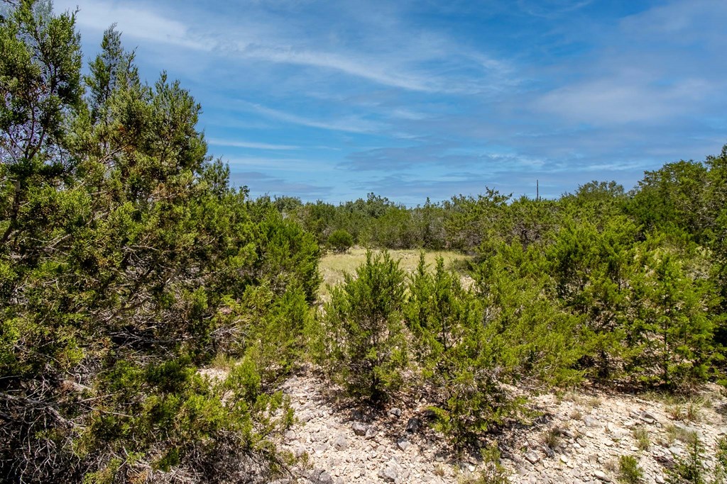 0 Quail Run Road Mountain Home, TX 78058 - Photo 5 of 8