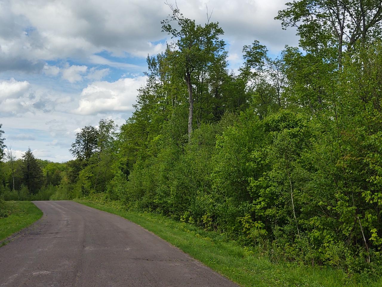 1 Many Rock Road, Unit LOT Mercer, WI 54547 - Photo 10 of 15 Gallery Image 10