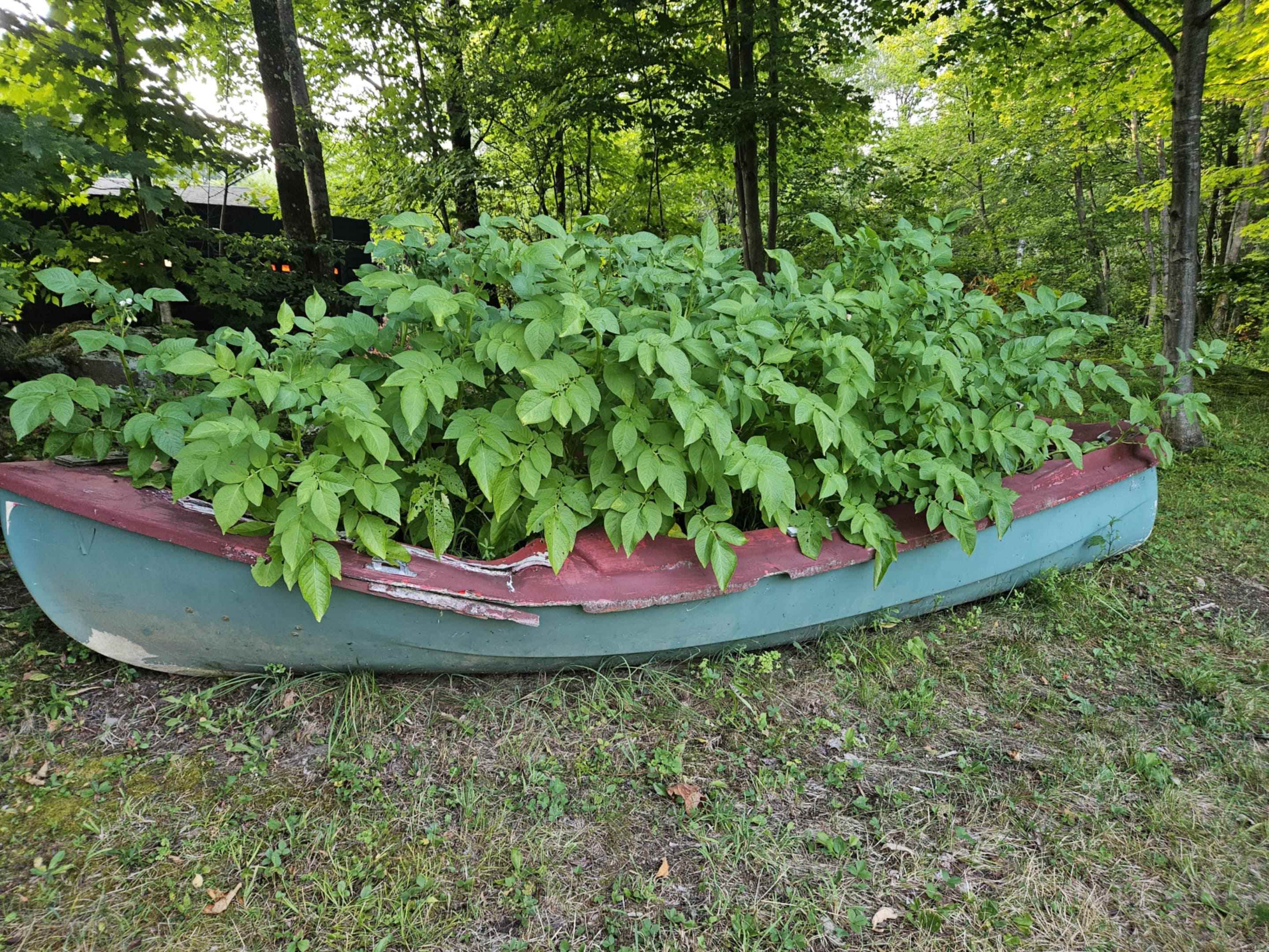 5 Ted Road Milton, VT 05468 - Photo 37 of 42