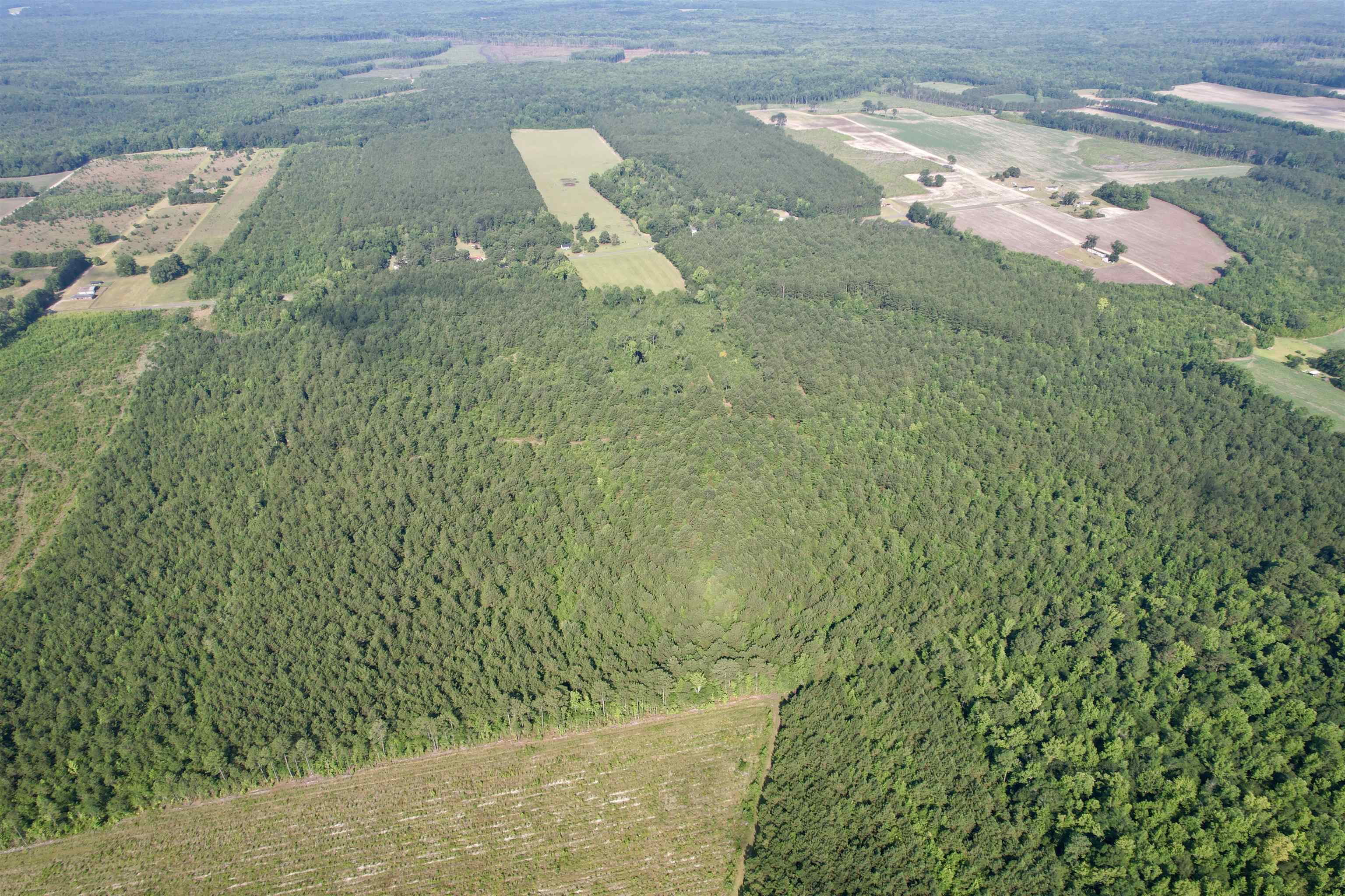 101.49-acres - Epps Road New Zion, SC 29111 - Photo 21 of 24