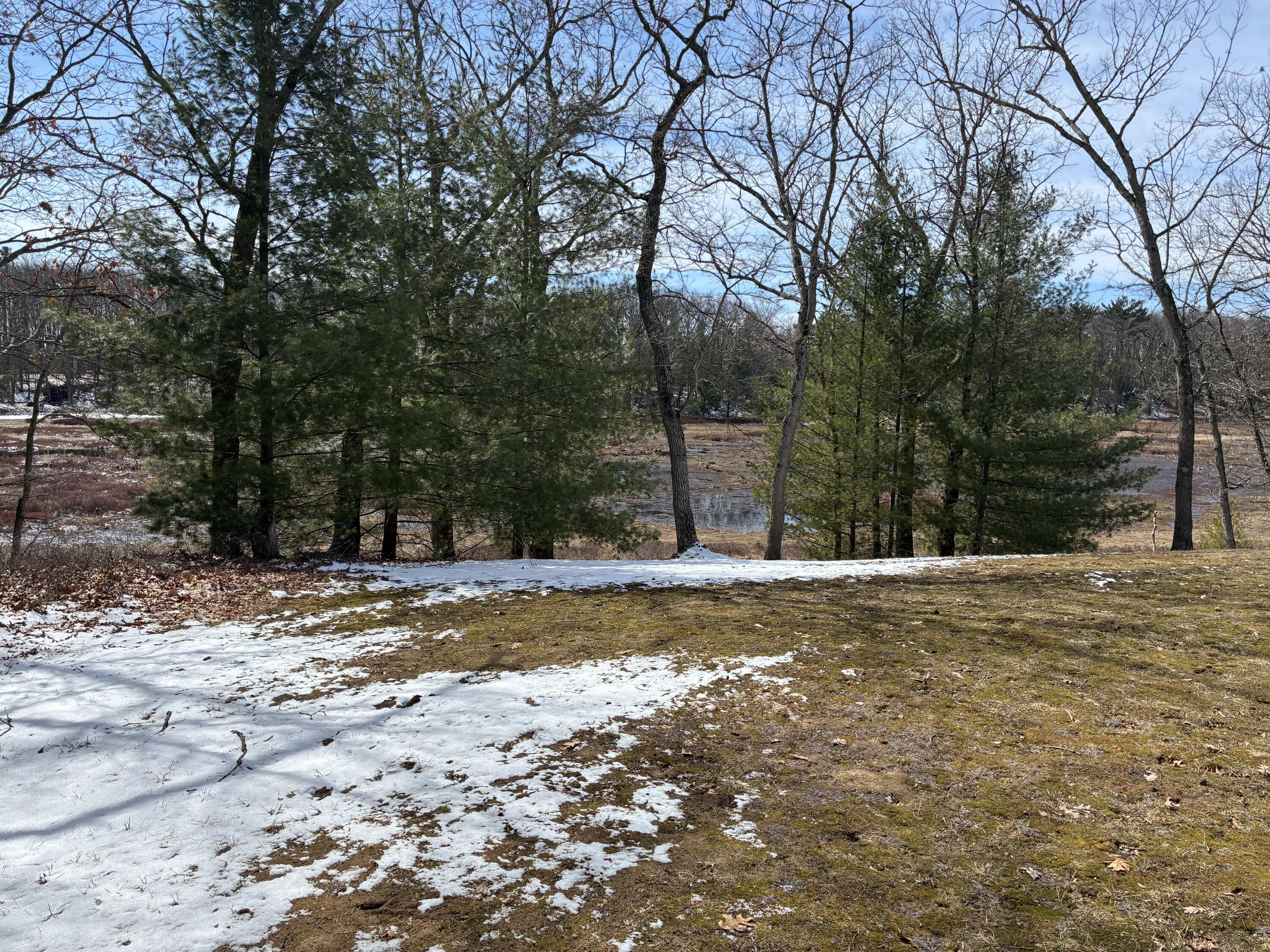 7451 West 76th Street Baldwin, MI 49304 - Photo 6 of 34 IMG_0119