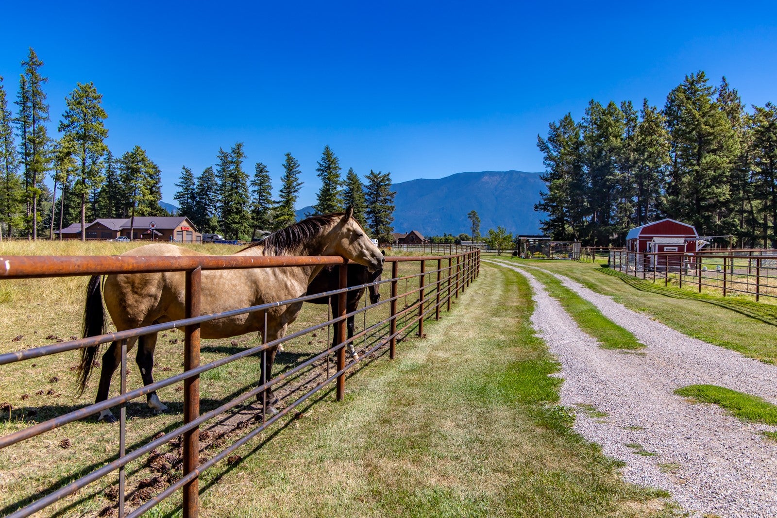 500 Rodeo Drive Columbia Falls, MT 59912 - Photo 94 of 183 Gallery Image 94