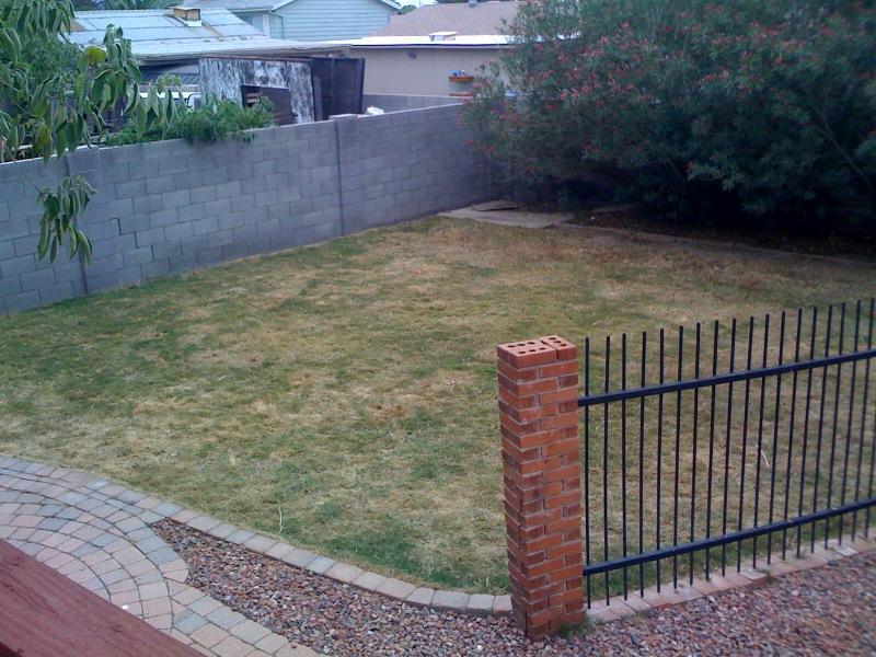3801 West Bloomfield Road Phoenix, AZ 85029 - Photo 5 of 6 Rear yard