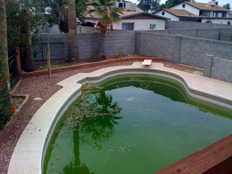 3801 West Bloomfield Road Phoenix, AZ 85029 - Photo 6 of 6 Pool