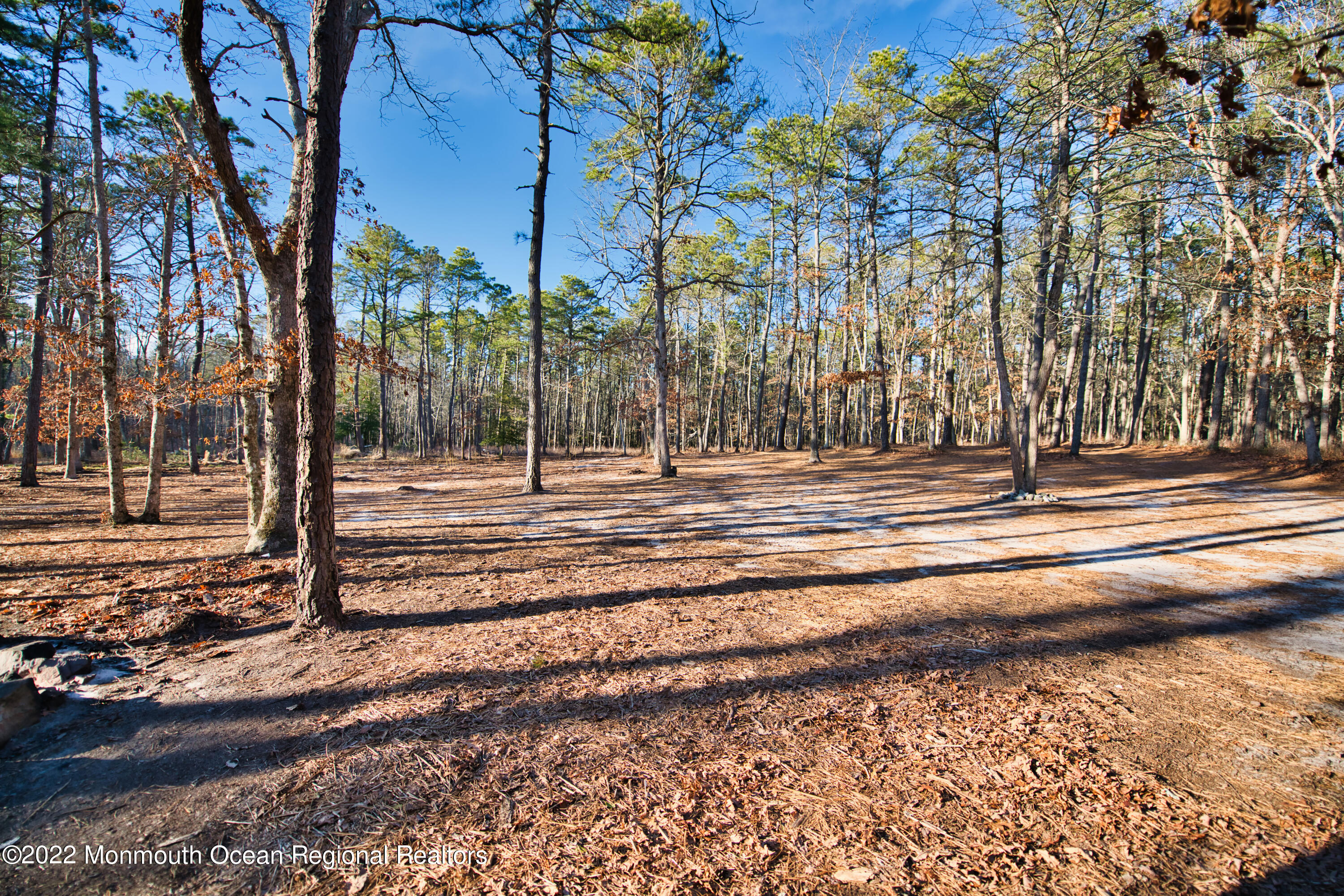 420 Stage Road Little Egg Harbor, NJ 08087 - Photo 66 of 71 1.178 acres of privacy