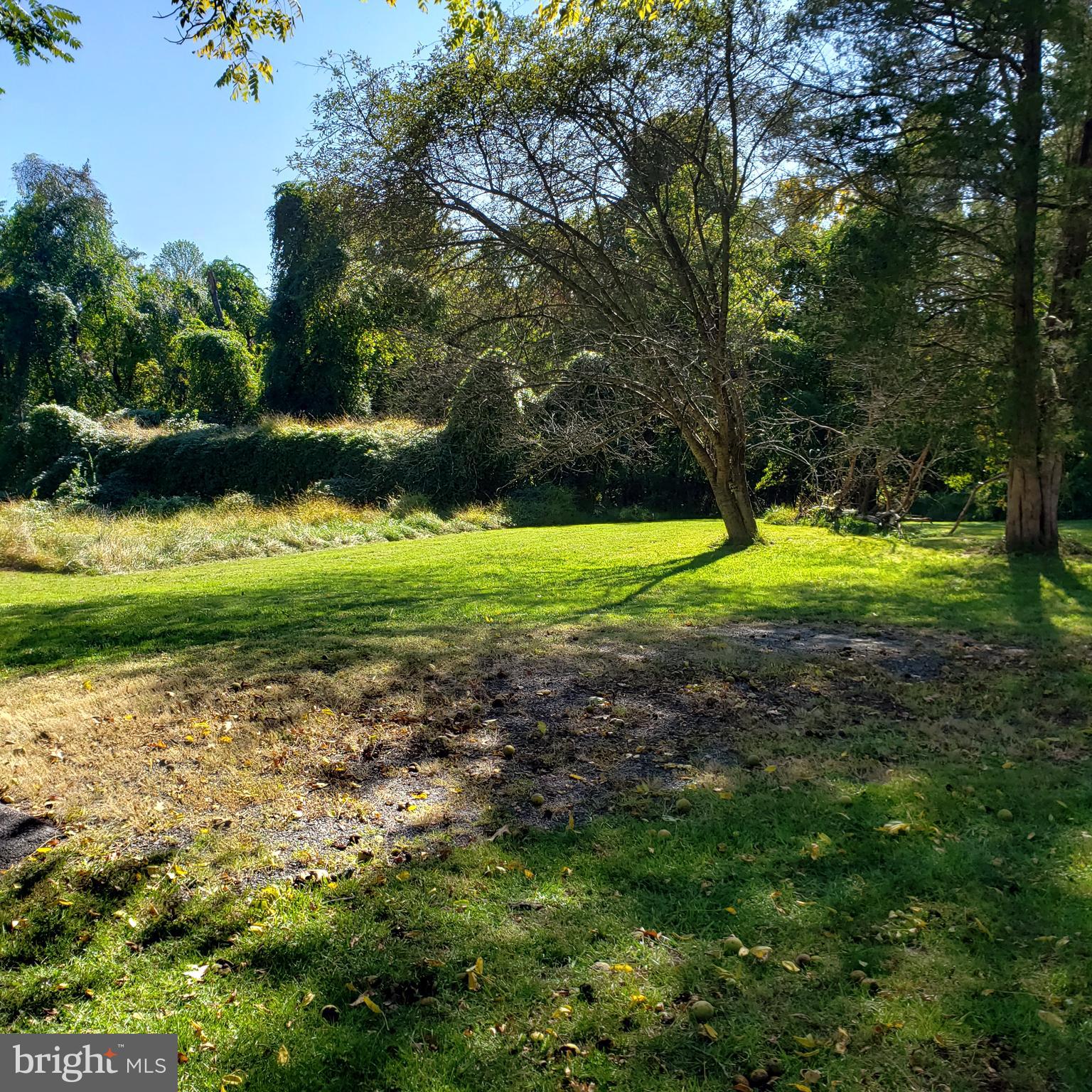 Brink Road Gaithersburg, MD 20882 - Photo 1 of 7