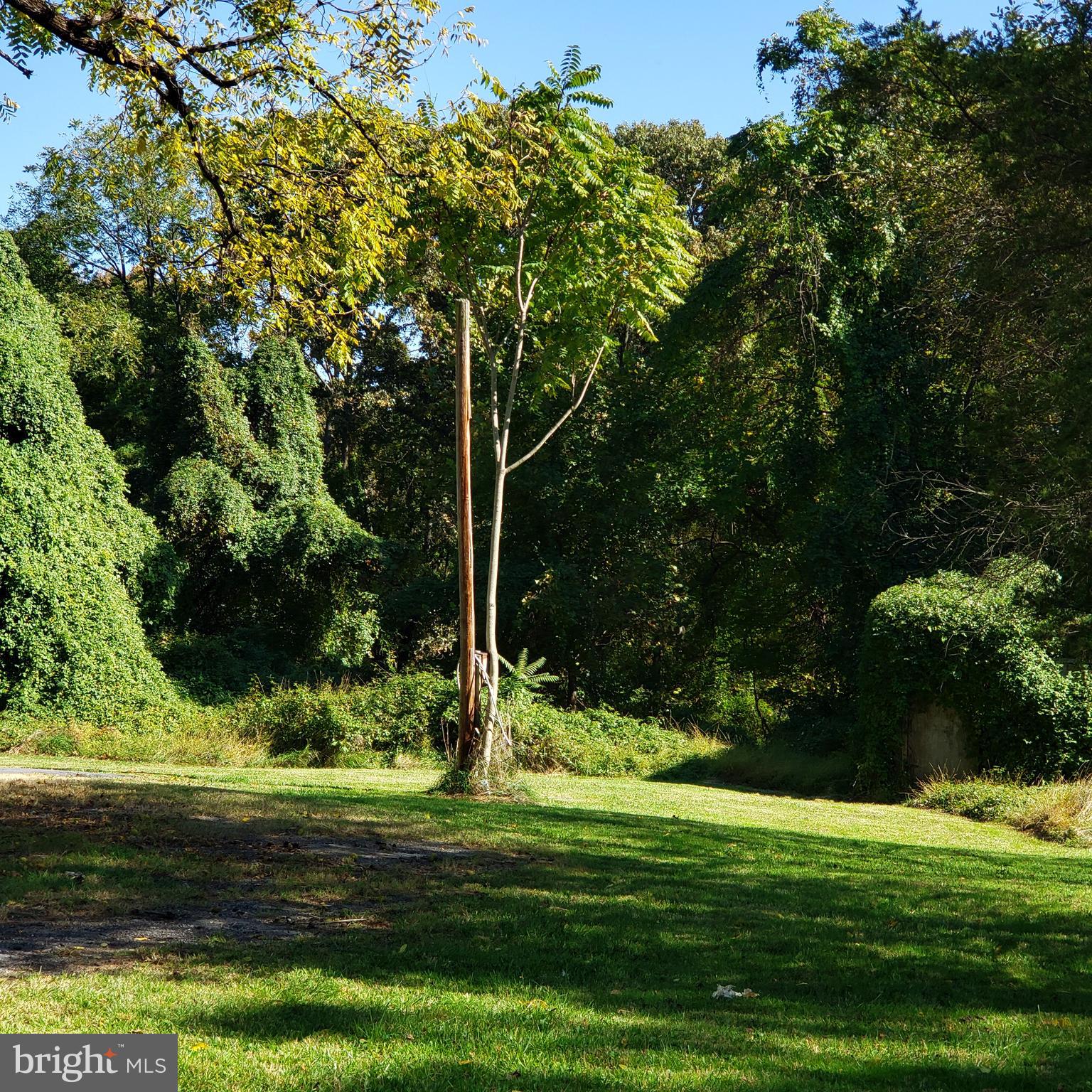 Brink Road Gaithersburg, MD 20882 - Photo 2 of 7