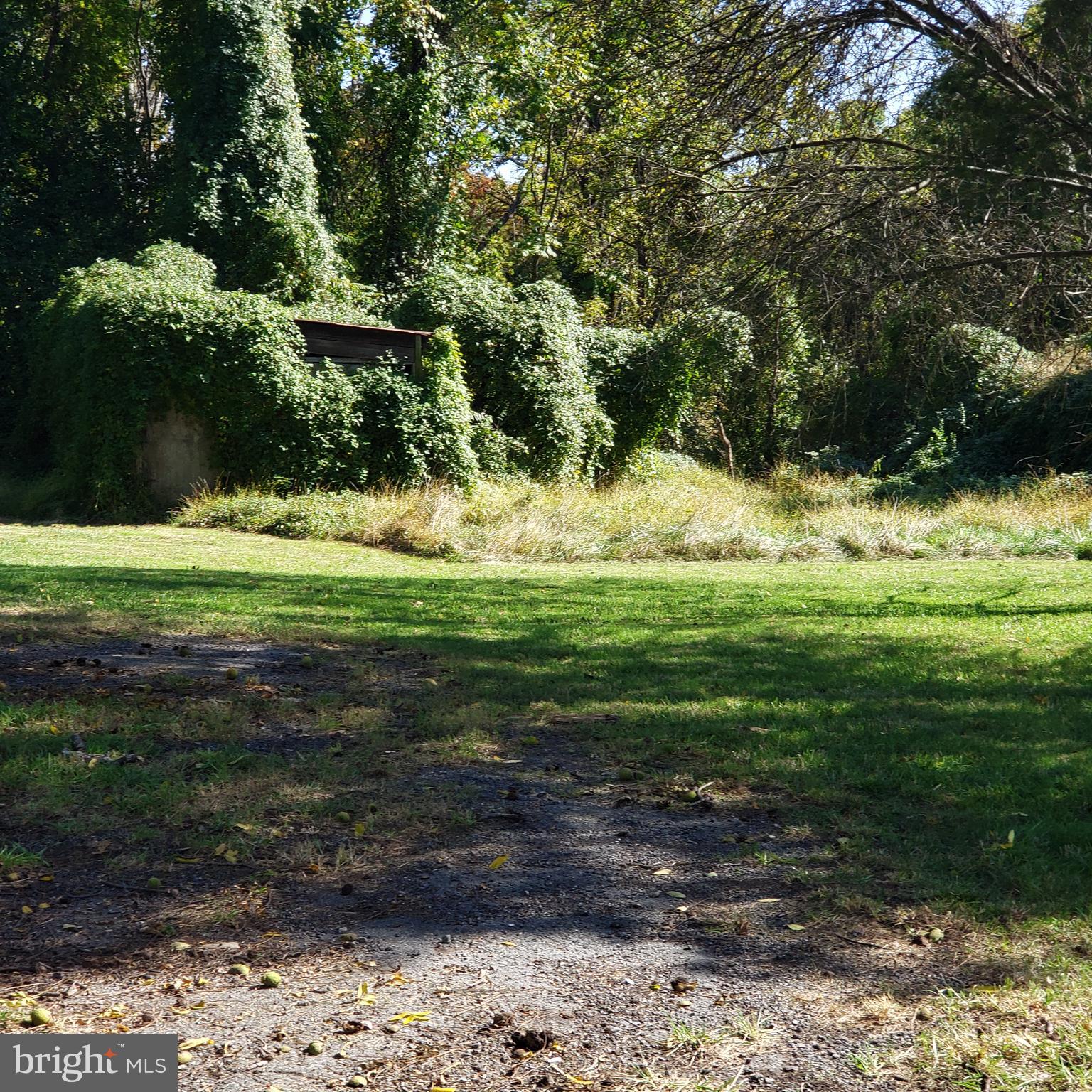 Brink Road Gaithersburg, MD 20882 - Photo 4 of 7