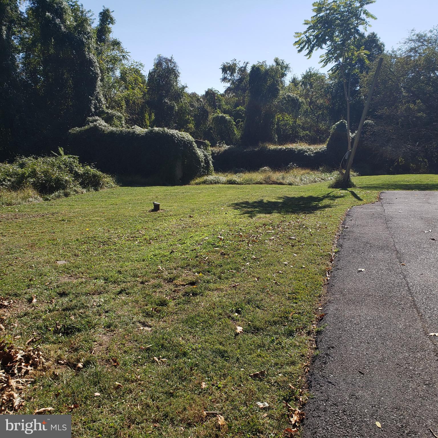 Brink Road Gaithersburg, MD 20882 - Photo 5 of 7