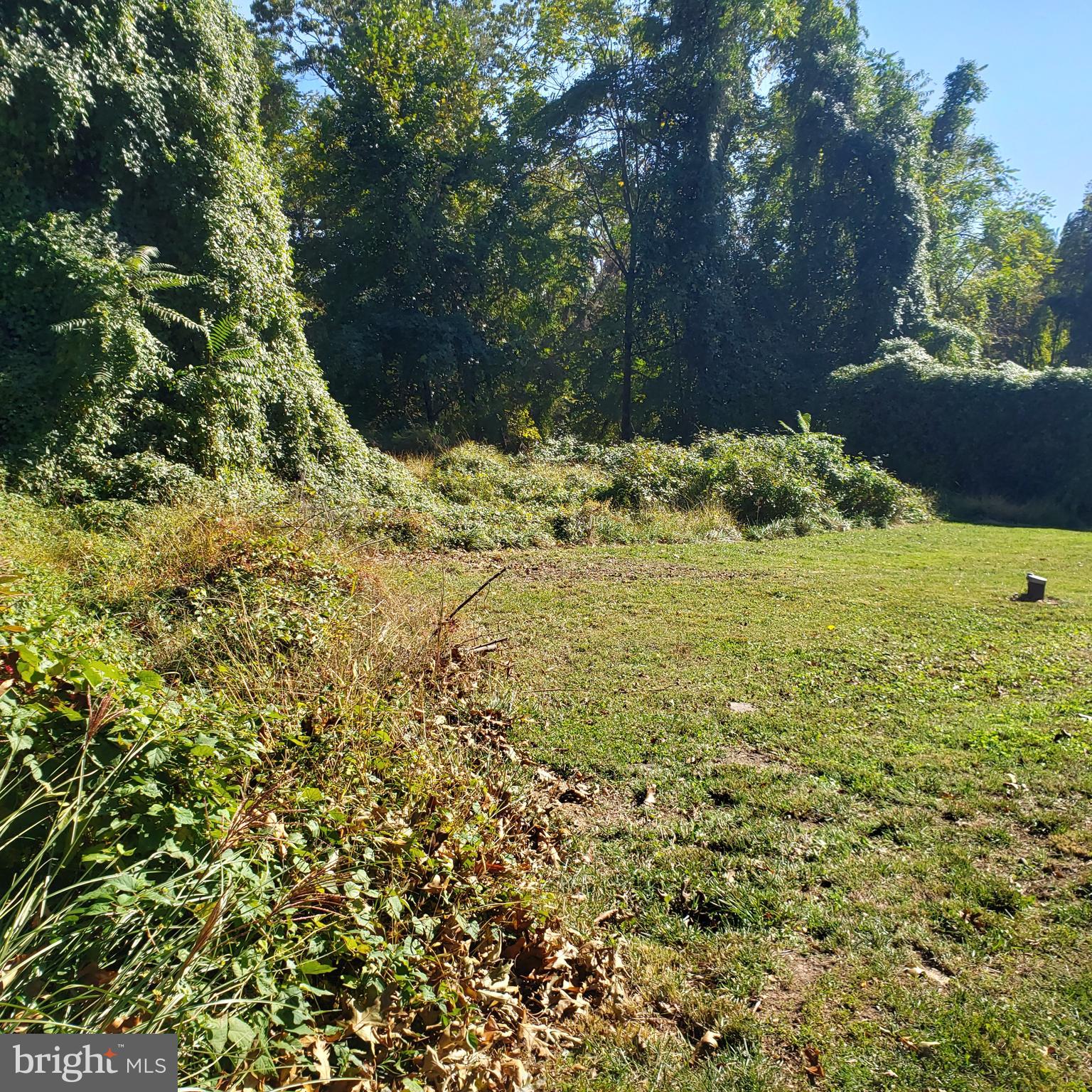 Brink Road Gaithersburg, MD 20882 - Photo 6 of 7